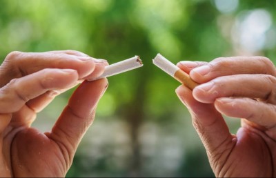 ވަގަށް ރާއްޖެ އެތެރެކުރި ގިނަ އަދަދެއްގެ ސިނގިރޭޓް ކާޓަންތަކެއް އަތުލައިގެންފި