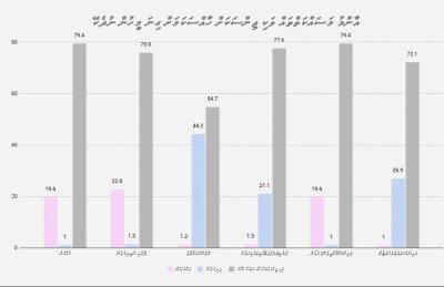 ގިނަ މީހުން ދެކެނީ ގޭތެރޭގެ މަސައްކަތް ވަކި ޖިންސަކަށް ހާއްސަނުވާ ކަމަށް