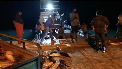 ކޫއްޑޫއަށް ނުކިރުނު މަސް، ފިއޯރީއަށް ބަހައިފި