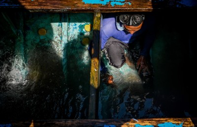 ފޮޓޯ ސްޓޯރީ: ހުރިހާ އެމެއް ކަހާލައިގެން ގެނެސް މިއޮއް ވިއްކަނީ