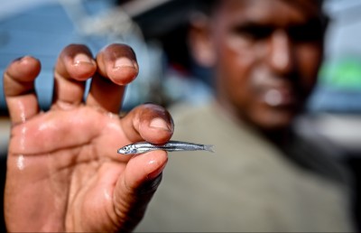 ފޮޓޯ ސްޓޯރީ: ހުރިހާ އެމެއް ކަހާލައިގެން ގެނެސް މިއޮއް ވިއްކަނީ