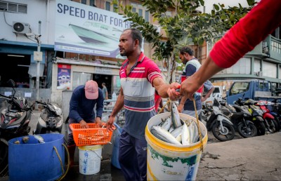 ފޮޓޯ ސްޓޯރީ: ހުރިހާ އެމެއް ކަހާލައިގެން ގެނެސް މިއޮއް ވިއްކަނީ