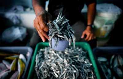 ފޮޓޯ ސްޓޯރީ: ހުރިހާ އެމެއް ކަހާލައިގެން ގެނެސް މިއޮއް ވިއްކަނީ