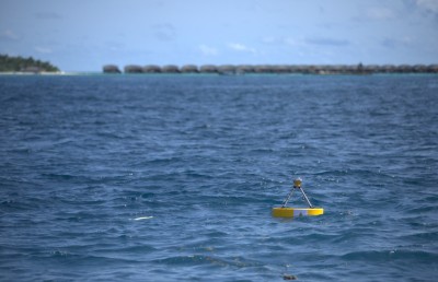 ކަނޑުގެ ރާޅުން ހަކަތަ އުފައްދަން ސްޓެލްކޯއިން ދިރާސާއެއް