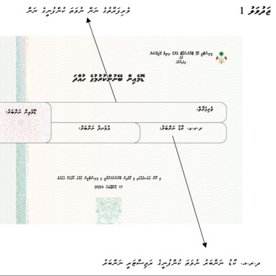 ސެކިއުރިޓީ ފީޗާ ހިމެނޭ ޑޮމެއިން ނަމްބަރު ވިއްކާ އުސޫލު އާންމުކޮށްފި