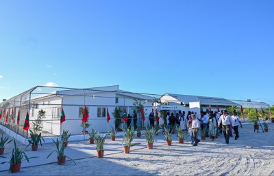 "އޮޅު ހިޔާ" އަށް އަށް ބުޅަލުގެ ކާނާ ސަޕްލައިކޮށްދޭނެ ބަޔަކު ހޯދަނީ