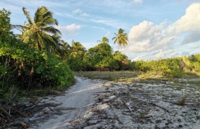 ބޮޑުފިނޮޅު ސަރުކާރަށް ނަގަންޖެހޭ، ވަރަށް އަވަހަށް އެއްބަސްވުމަކަށް އާދެވޭނެ: މިނިސްޓަރު