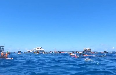 ސިންގަޕޫރު ކުއްޖާ މަރުވީ ދޯނި ފަހަތަށް ޖެހުމުން ބުރަފަތީގައި ތާށިވެގެން