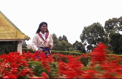 ޓެޑްރީ އާއި މުހައިމިންގެ "ދެރިޔާ" އަށް 30 އަހަރު: މި ފިލްމު އެހާ ކާމިޔާބުވީ ކީއްވެ؟