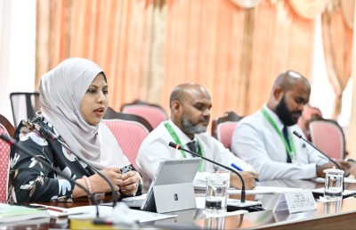 ވަޒީރުންނާއި މެމްބަރުން މެދުވެރިކޮށް އުސޫލުން ބޭރުން އެހީ ނުހޯދޭނެ: ހީނާ