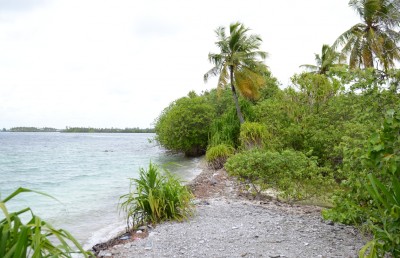 ހިތަދޫ ގޮނޑުދޮށުން ވެެއްޔެއް ނުނަގާ: އީޕީއޭ