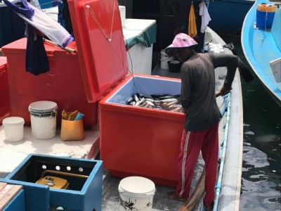 މަސްދޯނީގައި ފެން ފިނިކުރާނެ ގޮތް ގާއިމްކޮށް، ސޯލާ ހަރުކުރަން އެހީވަނީ