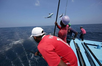 މަސްވެރިންގެ އެތައް ދުވަހެއްގެ ޝަކުވާ، އަދިވެސް ހައްލެއް ނެތް!