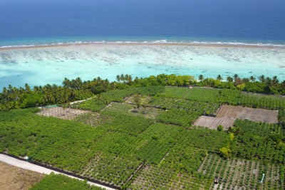 ފާއިތުވި އަހަރު ކެންސަރަށް މަގުފަހިވާ 14 ވައްތަރެއްގެ ކެމިކަލް އެތެރެކުރި