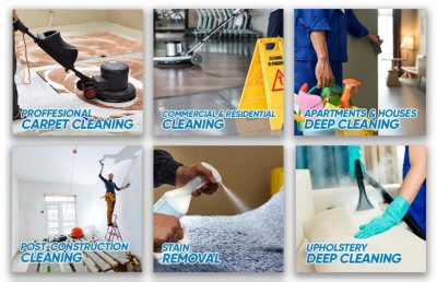 ސޯފާ އާއި ކާޕެޓް ބާވިޔަސް މިހާރު އެއްލައިލާކަށް ނުޖެހޭނެ