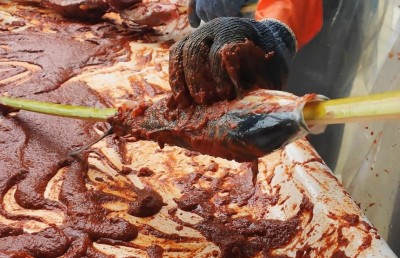 އާ އަހަރަށް ދާންވީ އުލިގަމަށް، ބޮޑު ބާބެކިއު އޮންނާނެ!