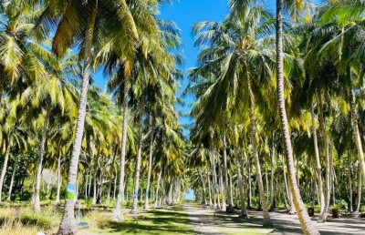 އެމްއައިޓީޑީސީން މަޝްރޫއުތައް ހިންގުމުގެ ނަމުގައި 52.3 މިލިއަންގެ ބޮޑު އިސްރާފެއް!