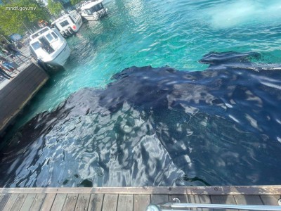 އެމްޕީއެލް ސަރަޙައްދު މޫދަށް އެޅިފައިވާ ތެޔޮ ފެތުރުން ކޮންޓްރޯލް ކުރެވިއްޖެ: އެމްއެންޑީއެފް