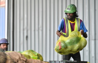 މިދިޔަ ކުއާޓާގައި ތަކެތީގެ އަގު މައްޗަށް