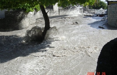 ސުނާމީގައި ވަކިވެ ދިޔަ ދަރިފުޅު އަދިވެސް ހީވަނީ އުޅޭހެން!