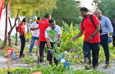 މޯލްޑިވިއަން އިން ހުޅުމާލެ 2 ގައި ގަސް އިންދުމުގެ ހަރަކާތެއް ބާއްވައިފި
