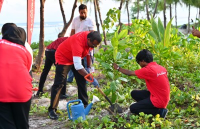 މޯލްޑިވިއަން އިން ހުޅުމާލެ 2 ގައި ގަސް އިންދުމުގެ ހަރަކާތެއް ބާއްވައިފި