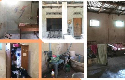 "މަމްސް" އިން އެތައް ދިރިއުޅުމެއް ބަދަލުކޮށްލި އަހަރެއް