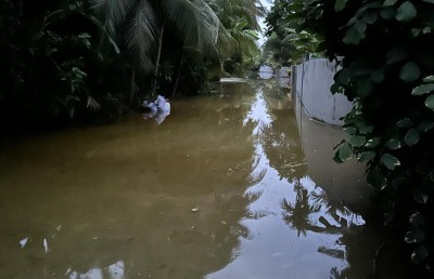 ބަނދަރުގެ ބޭރުތޮށި ނުލާ އޮތުމުން ނަރުދު އަށް އާދަޔާހިލާފަށް އުދަ އަރައި ބޮޑެތި ގެއްލުންތަކެއް!