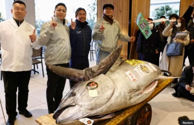 ނޫއުރަހަ ކަންނެއްޔެއް ޖަޕާނުގައި 1.3 މިލިއަން ޑޮލަރަށް ވިކިއްޖެ