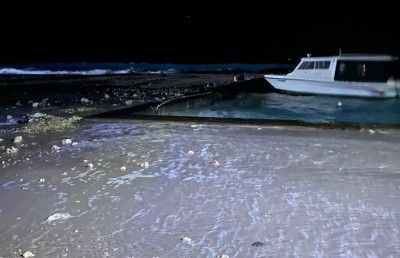 ބަނދަރުގެ ބޭރުތޮށި ނުލާ އޮތުމުން ނަރުދު އަށް އާދަޔާހިލާފަށް އުދަ އަރައި ބޮޑެތި ގެއްލުންތަކެއް!