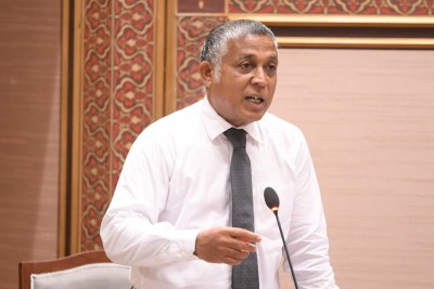 އަމީނީމަގުގެ ގަސްތައް ކަނޑަނީ ސިޔާސަތެއް އޮވެގެންނެއް ނޫން، ގަސް ހުރުމުން ގެއްލުންވާނެތީ: އަސްލަމް