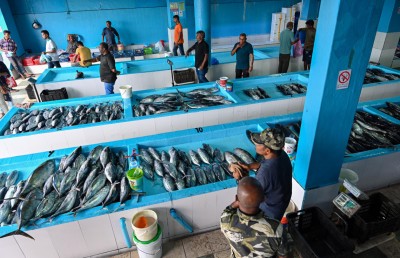 ފިޔޯރީގައި މަސްކާރުހާނާއެއް ހަދަން އަންނަ މަހު ޗައިނާގެ ބަޔަކާ އެކު ސޮއިކުރަނީ