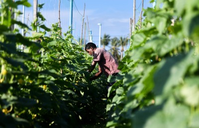 ދަނޑުވެރިންނަށް އޮތީ ފާގަތިކަން، އެ ދާއިރާ ފުޅާކުރެވޭނެ: ރައީސް