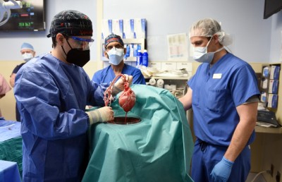 މީހެއްގެ ހަށިގަނޑުގައި އޫރެއްގެ ހިތެއް އިންދައިފި