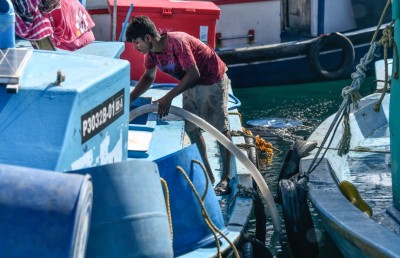 ސަމާލުވޭ، މި ކެވެނީ ނަޖިސް ފެނުން ދޮންނަ މަސް!