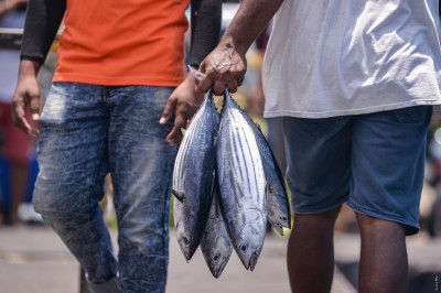 އަހަރެއްގެ ތެރޭގައި ކާބޯތަކެތީގެ އަގު ހަތް ޕަސެންޓު އުފުލިއްޖެ