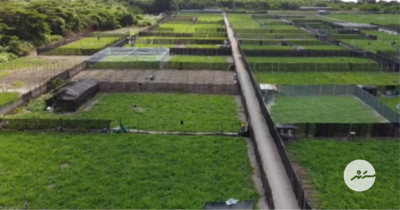 ށ. ގޮއިދޫ: ހީކުރިވަރަށް ވުރެން ދަނޑުވެރިކަން ފުޅާކޮށްފި!