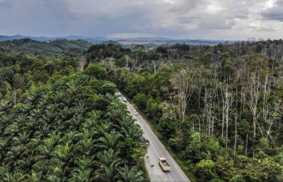 އިންޑޮނީޝިއާގެ ވެރިރަށް ބަދަލުކުރަން ފާސްކޮށްފި