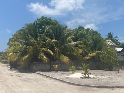 ނައީމާގެ މަރު: ފުލުހުން ފަޅުގެއެއް ބަލައި ފާސްކުރަނީ