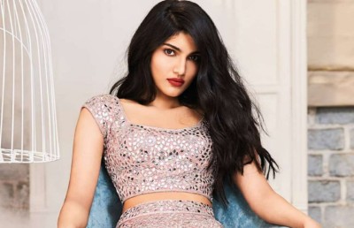 ސަލްމާނަށް ބޮޑުބޭބެ ކިޔާ އަލިޒޭ ބޮލީވުޑަށް ނުކުންނަނީ ތައި ފިލްމެއްގެ ރީމޭކަކުން