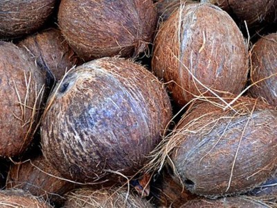 ރަށްރަށަށް ބަހަން ކެރެލާއިން ރާއްޖެއަށް 5،000 ރުއް ގެނެސްފި