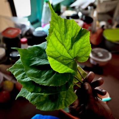 ދަރަވަންދޫ އައްތަ ޕާޕަރު: އެހާ މީރު، އެހާ މުރަނަ