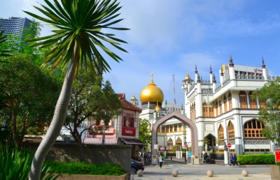 މުސްލިމުން މެރުމުގެ މިޝަނަކަށް ތައްޔާރުވި ސިންގަޕޫރު ޒުވާނަކު ހައްޔަރުކޮށްފި