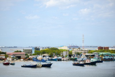 ތިލަފުށީ ފަޅުގައި އޮތް 80 އުޅަނދު ނަގަން އަންގައިފި