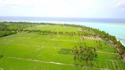 ތޮއްޑޫގައި ވަޅި ހެރި ބިދޭސީ މީހާ ހައްޔަރުކޮށްފި