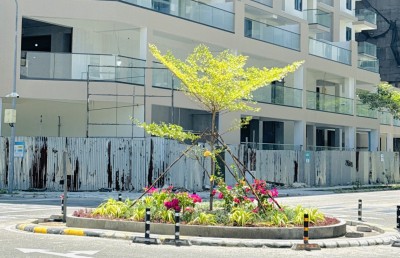 ފާޑުކިޔުންތަކާ އެކު، މޮނިއުމަންޓުގެ ބަދަލުގައި ހުޅުމާލެ ރައުންޑްއެބައުޓްތަކުގައި ގަސް އިންދަނީ