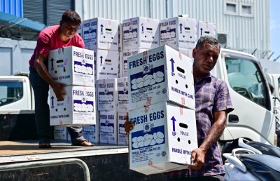 އެސްޓީއޯގެ ރޯދަ ސްޓޮކް: ބިހާއި އަލުވި ވެސް ބާޒާރަށް