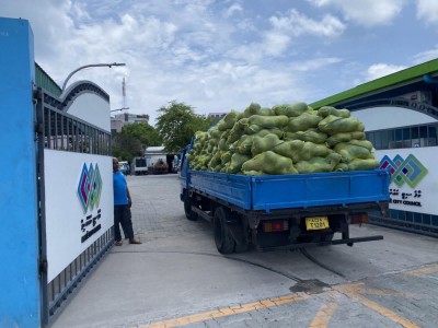 މާދަމާ ކަރާ ބަހަން ފަށަނީ، އައިޑީ ކާޑަކަށް ދެ ކަރާ