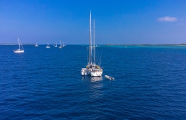 ގިނަ ޔޮޓްތައް "ސަވާދީއްތަ ދަތުރު" ގައި ބައިވެރިނުވެ އެނބުރި ދަނީ