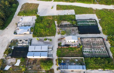 މާފަރުގެ ދަނޑުތައް ރޯދައަށް ފައްކާވެފައި، ނެތީ ވިއްކޭނެ ގޮތެއް!